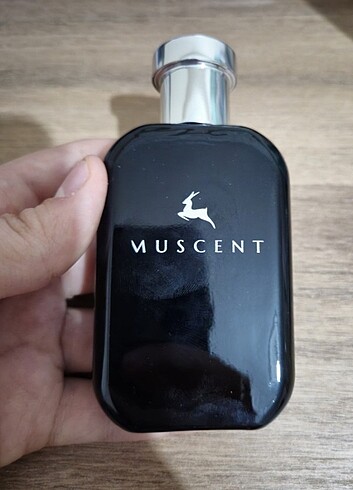 Muscent - Portrait of a lady 50 ml