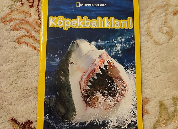 Köpekbalıkları