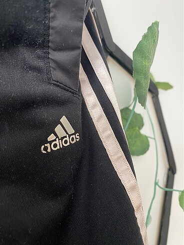 Adidas Adidas eşofman altı