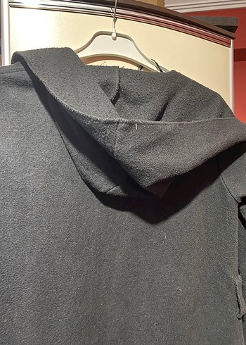 Siyah kaban - Görsel 3