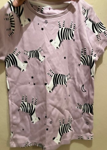 Kız Çocuk Pembe Zebra Desenli kısa Kollu Tişört - Görsel 4