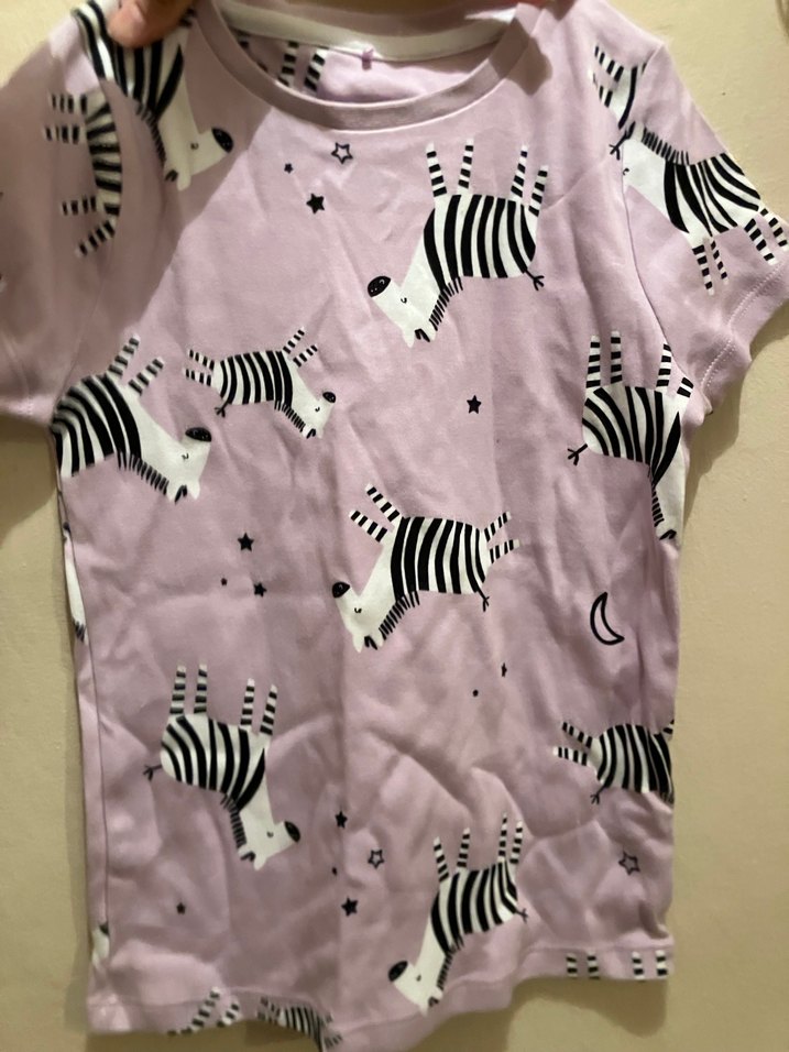 Kız Çocuk Pembe Zebra Desenli kısa Kollu Tişört - Görsel 4