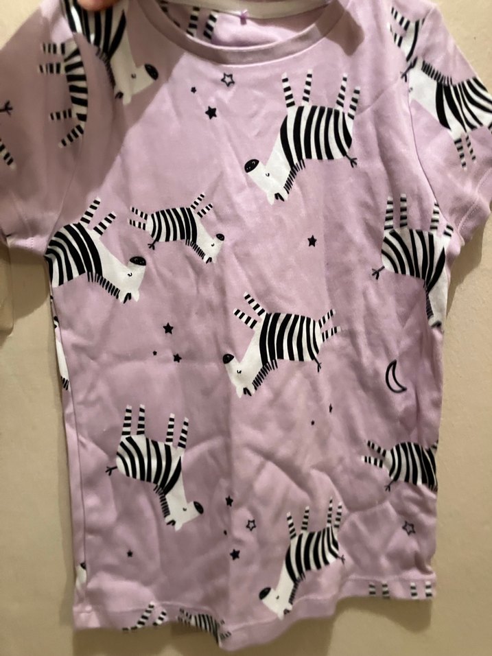 Kız Çocuk Pembe Zebra Desenli kısa Kollu Tişört - Görsel 3