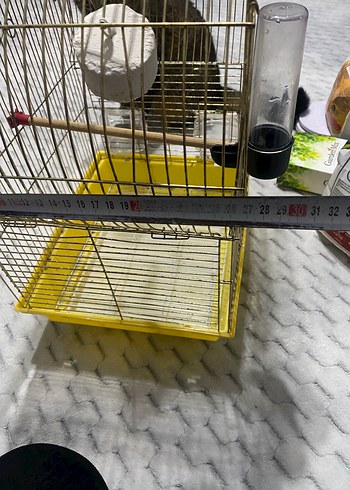 Altın Renkli Kuş Kafesi ve Kuş Yemleri - Görsel 12