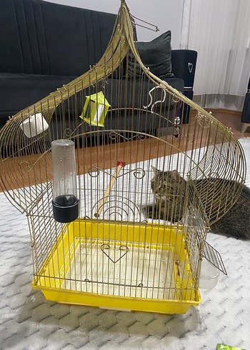 Altın Renkli Kuş Kafesi ve Kuş Yemleri - Görsel 8