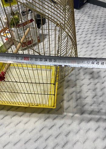 Altın Renkli Kuş Kafesi ve Kuş Yemleri - Görsel 10