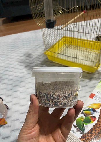 Altın Renkli Kuş Kafesi ve Kuş Yemleri - Görsel 6