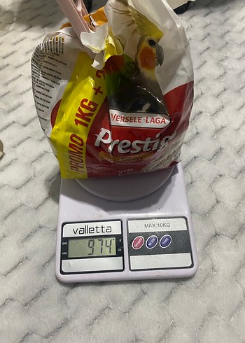 Altın Renkli Kuş Kafesi ve Kuş Yemleri - Görsel 3