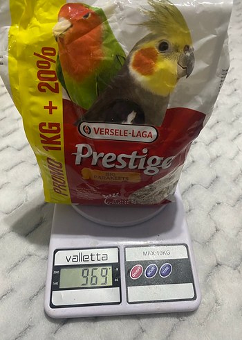 Altın Renkli Kuş Kafesi ve Kuş Yemleri - Görsel 4