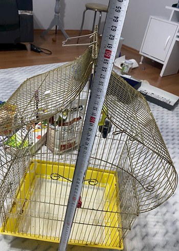 Altın Renkli Kuş Kafesi ve Kuş Yemleri - Görsel 9