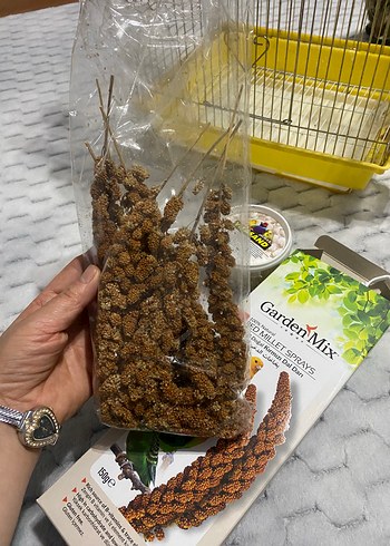 Altın Renkli Kuş Kafesi ve Kuş Yemleri - Görsel 5