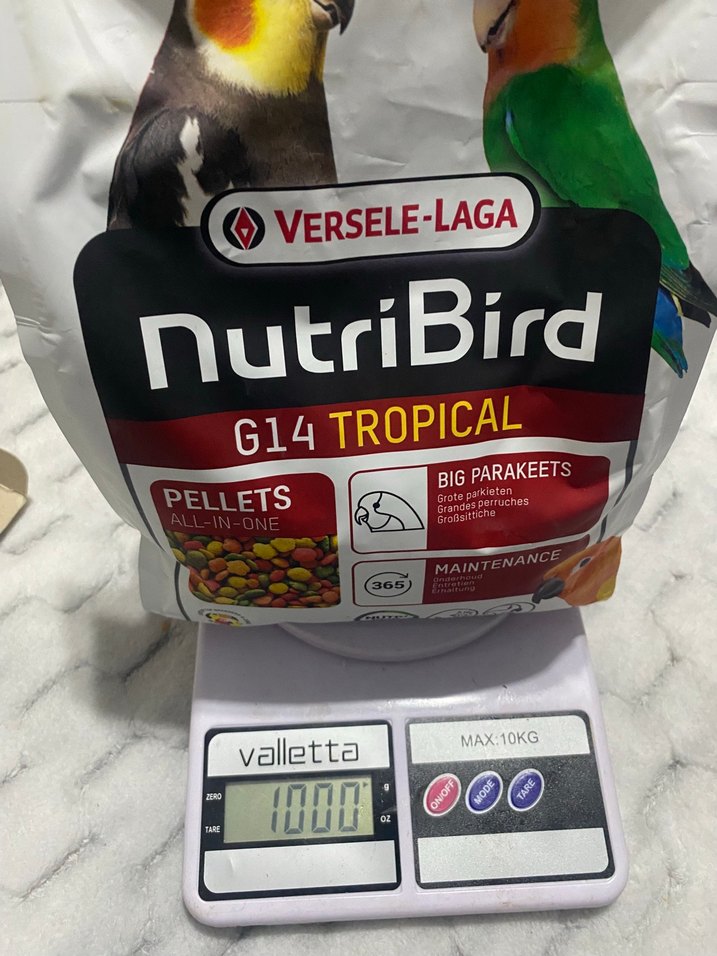 Altın Renkli Kuş Kafesi ve Kuş Yemleri - Görsel 2