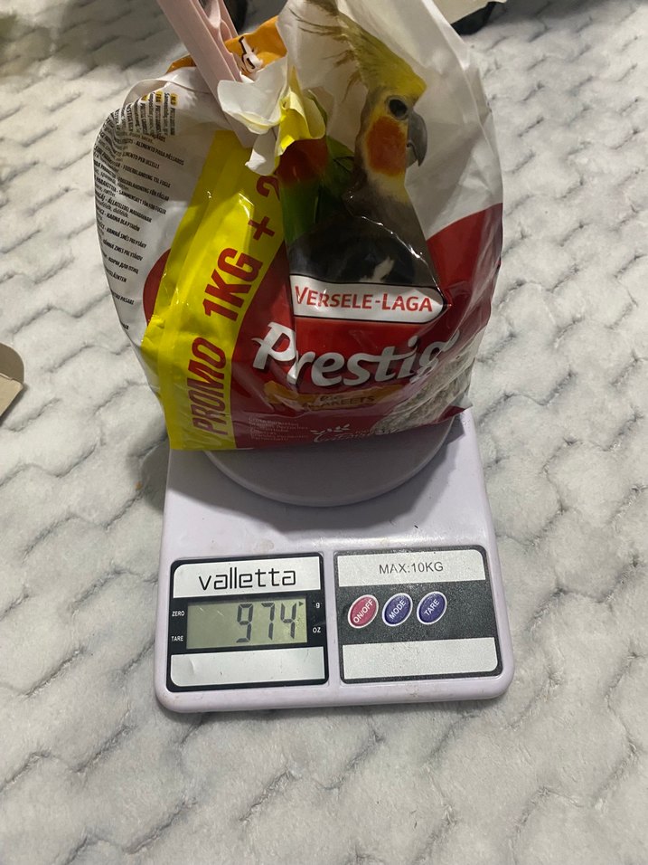 Altın Renkli Kuş Kafesi ve Kuş Yemleri - Görsel 3