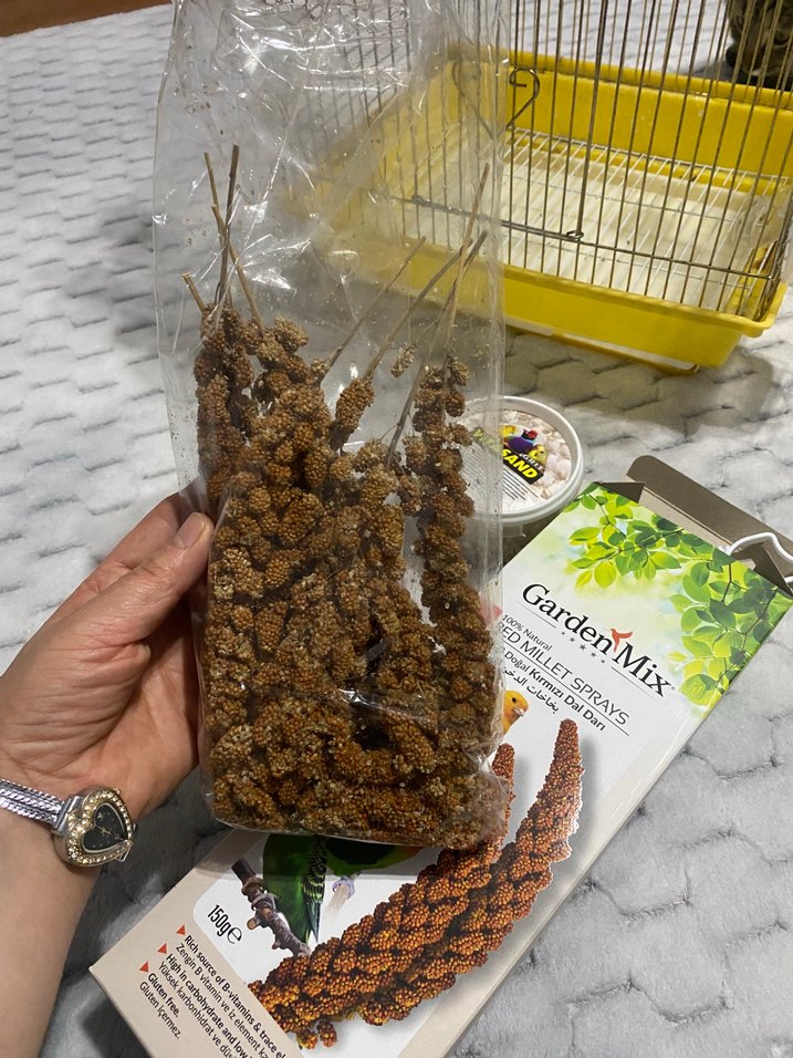 Altın Renkli Kuş Kafesi ve Kuş Yemleri - Görsel 5