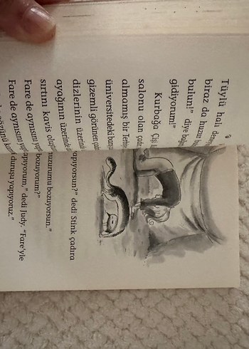 Judy Moody Üniversiteye Gidiyor - Resimli Kitap - Görsel 2