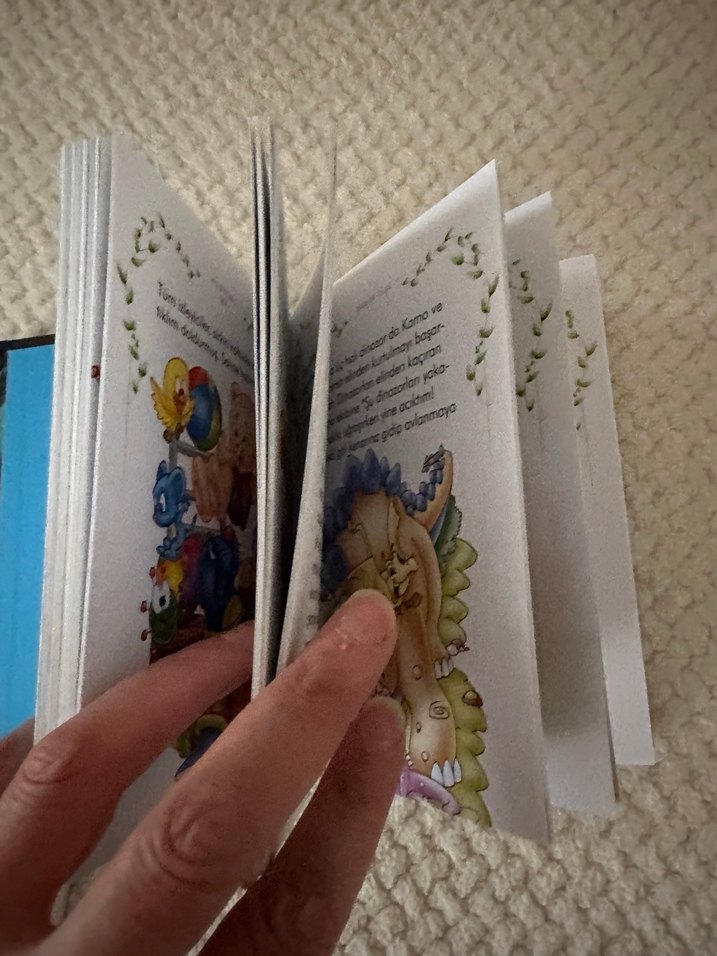 Masal Krallığı - Çocuk Kitabı - Görsel 3