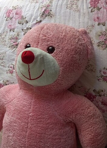 Peluş ayı