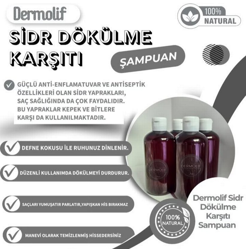 Sidir Şampuanı - Dökülme ve Kepek Karşıtı - Görsel 2