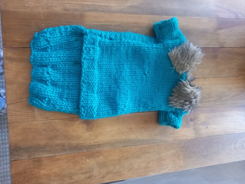 Kırmızı Siyah Kapüşonlu Gotik Köpek Kıyafeti - Görsel 5