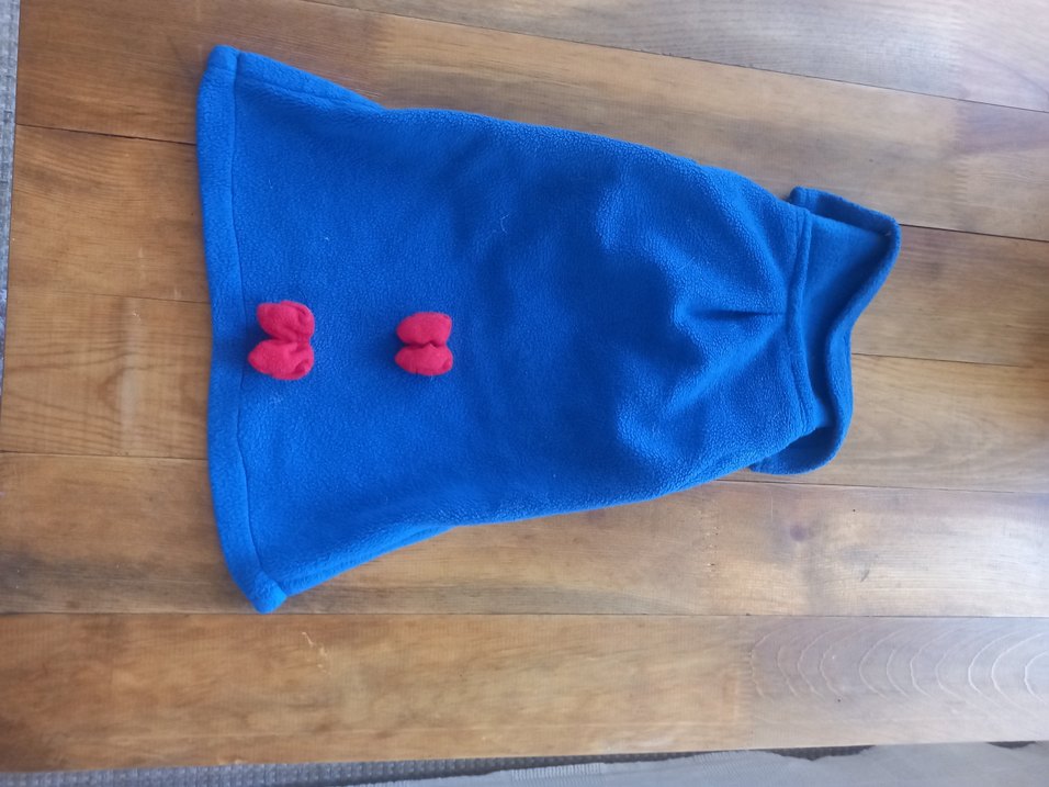 Kırmızı Siyah Kapüşonlu Gotik Köpek Kıyafeti - Görsel 4