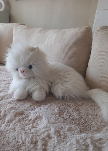Büyük boy Van kedisi oyuncak.