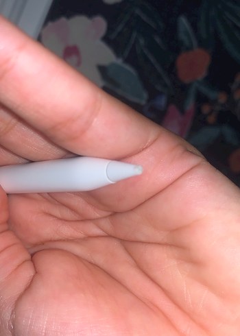 Beden Renk Orijinal Apple Pencil 2.nesil