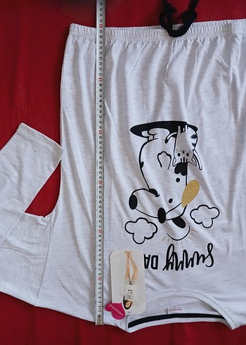 Uzun Kollu Şortlu Pamuklu Kadın Pijama Takımı - Görsel 6