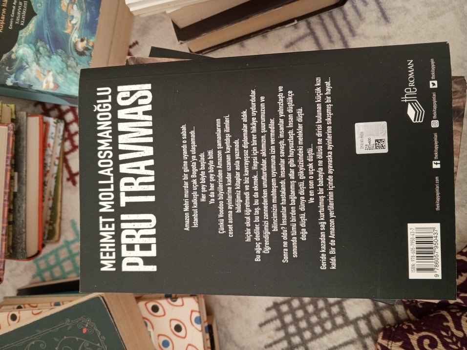 Mehmet Mollaosmanoğlu - Peru Travması - Görsel 2