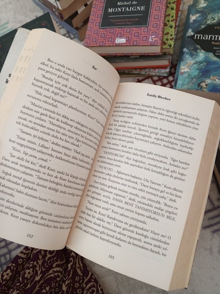 Emily Bleeker - Artık 'Sır' İki Kişinindir - Görsel 3