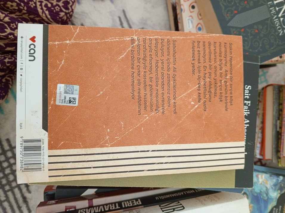 Sabahattin Ali - Sırça Köşk - Görsel 2