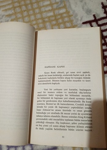 Nathaniel Hawthorne - Leke Roman Kitap - Görsel 3