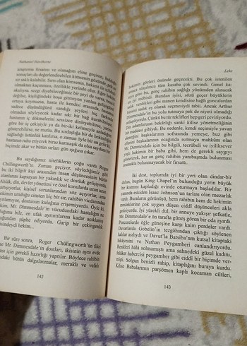 Nathaniel Hawthorne - Leke Roman Kitap - Görsel 4