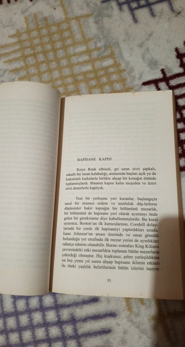 Nathaniel Hawthorne - Leke Roman Kitap - Görsel 3