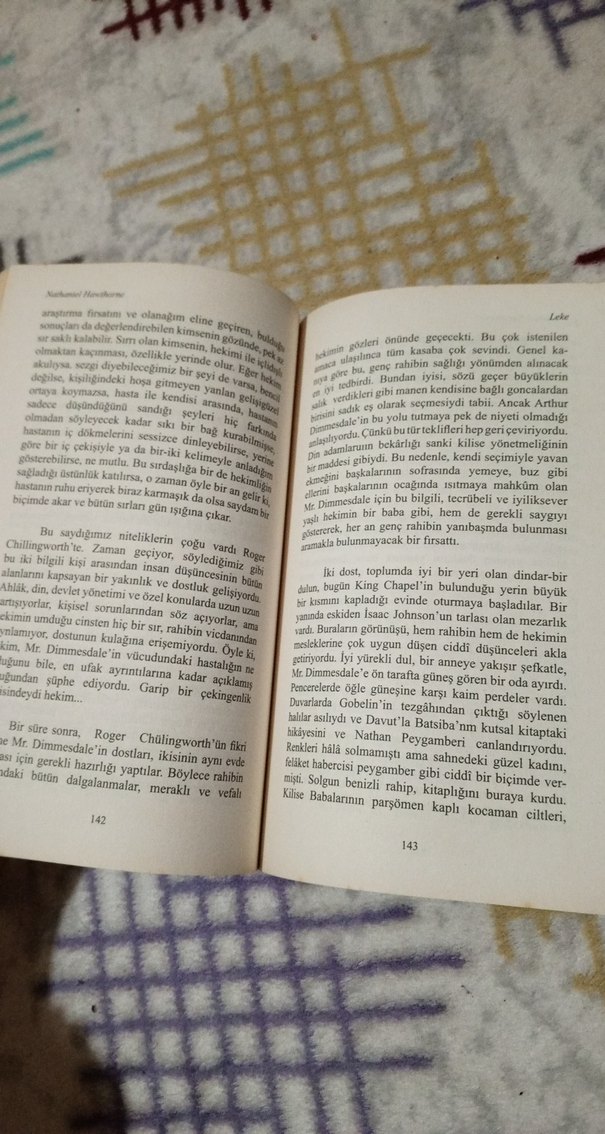 Nathaniel Hawthorne - Leke Roman Kitap - Görsel 4