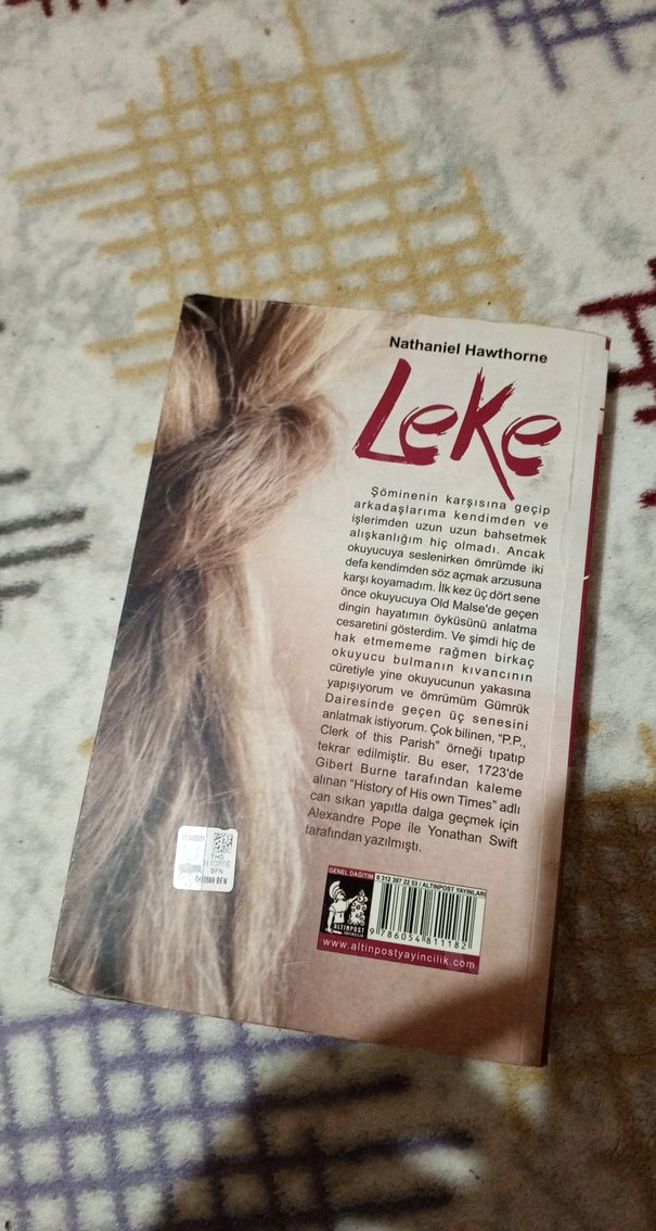 Nathaniel Hawthorne - Leke Roman Kitap - Görsel 5