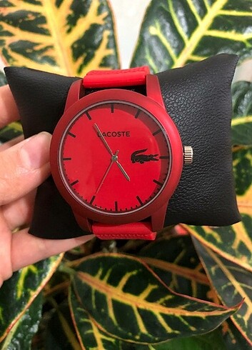 Lacoste Lacoste Kol Saati