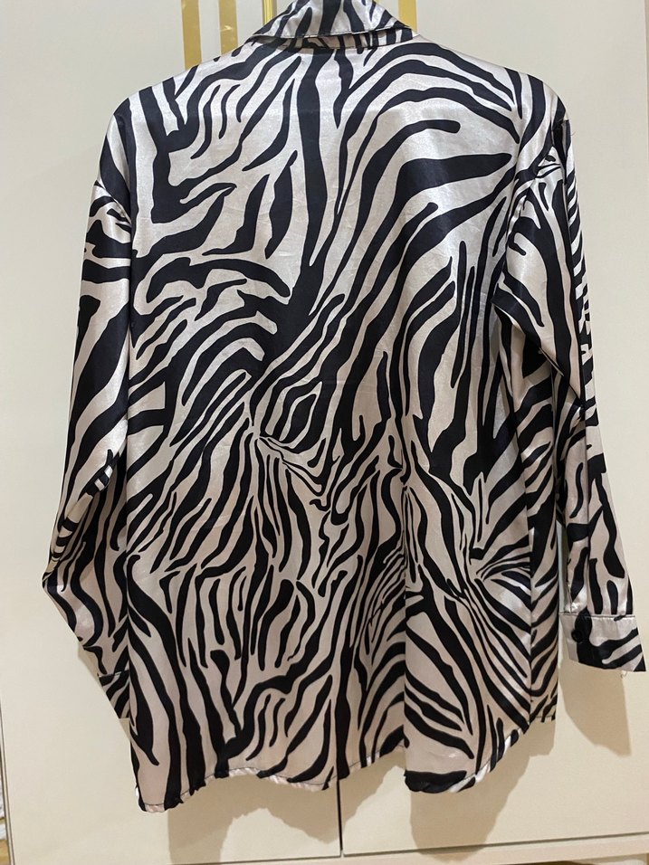 Zebra Desenli Uzun Kollu Kadın Gömlek - Görsel 3