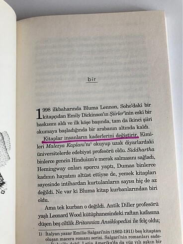  Beden Renk Kağıt Ev