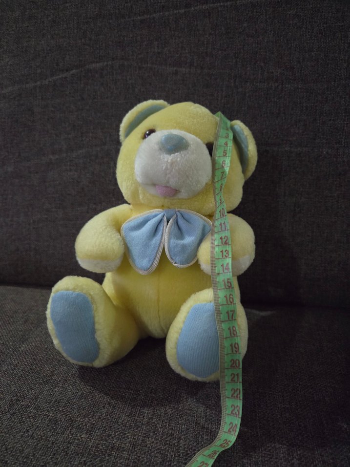 peluş  ayı - Görsel 2