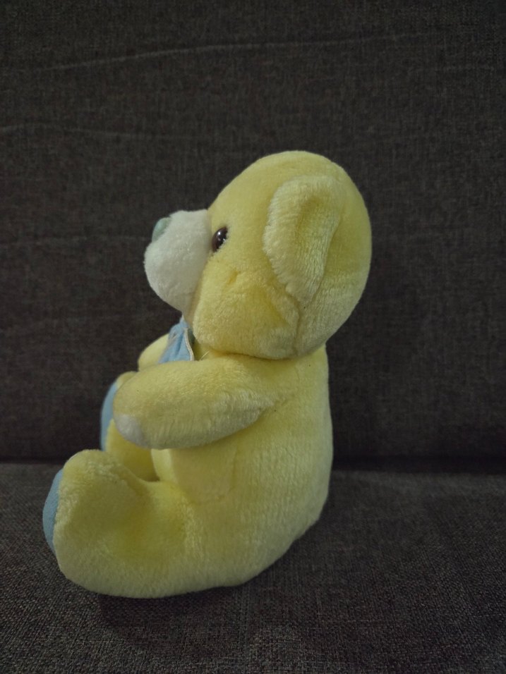 peluş  ayı - Görsel 5