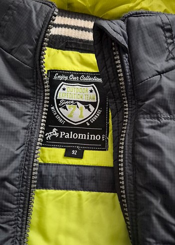 Erkek Çocuk Gri Kürklü Kapüşonlu Mont - Görsel 2