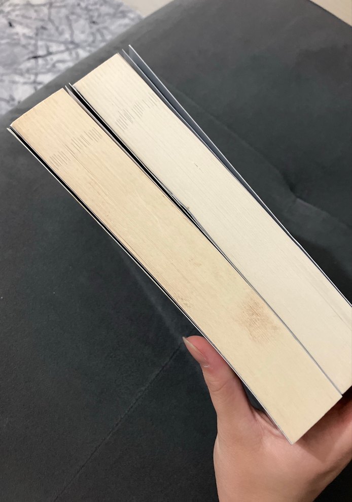 L. J. Smith - Gizli Çember Roman Seti - Görsel 3