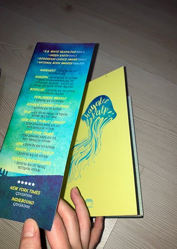 Hayalet Kalp - Ali Benjamin - Görsel 3