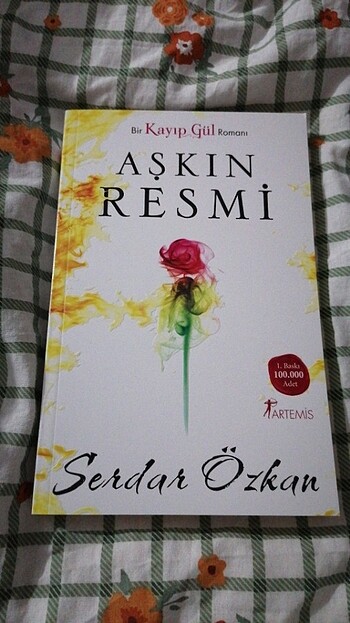 Aşkın resmi 