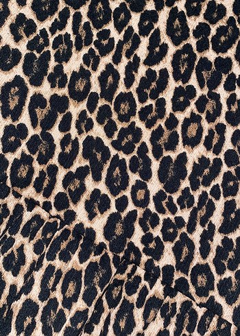 Leopar elbise - Görsel 6
