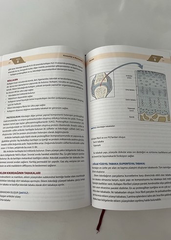 Beden Kinezyoloji ve Biyomekanik Kitabı
