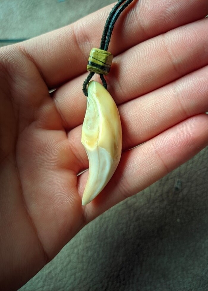 AYI DİŞİ KOLYE - Görsel 2