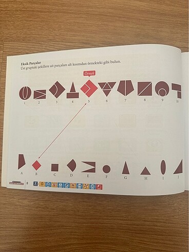Beden Renk Dikkat Güçlendirme Seti 7 yaş