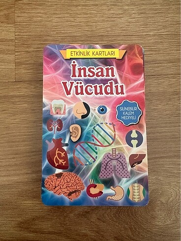 Beden Eğitici Kartlar-İnsan Vücudu