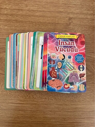 Beden Renk Eğitici Kartlar-İnsan Vücudu